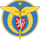 Czech Air Force